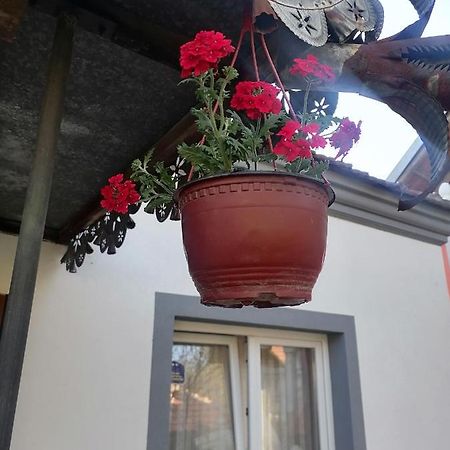 Etno Kuca Badejevic Villa Plavna Luaran gambar
