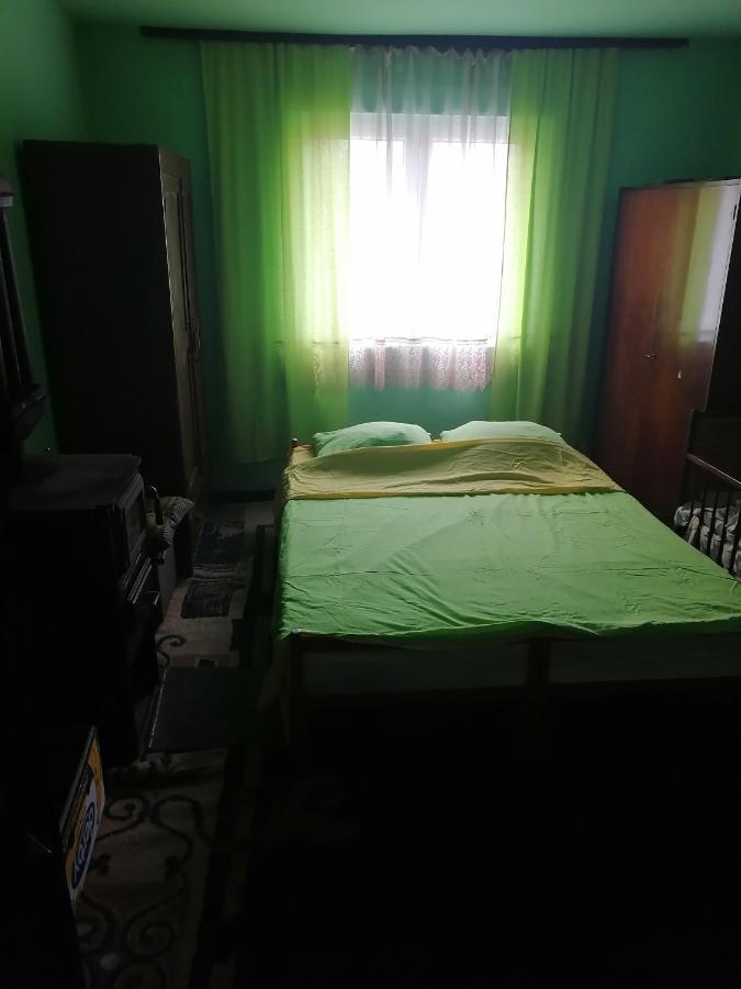 Etno Kuca Badejevic Villa Plavna Luaran gambar