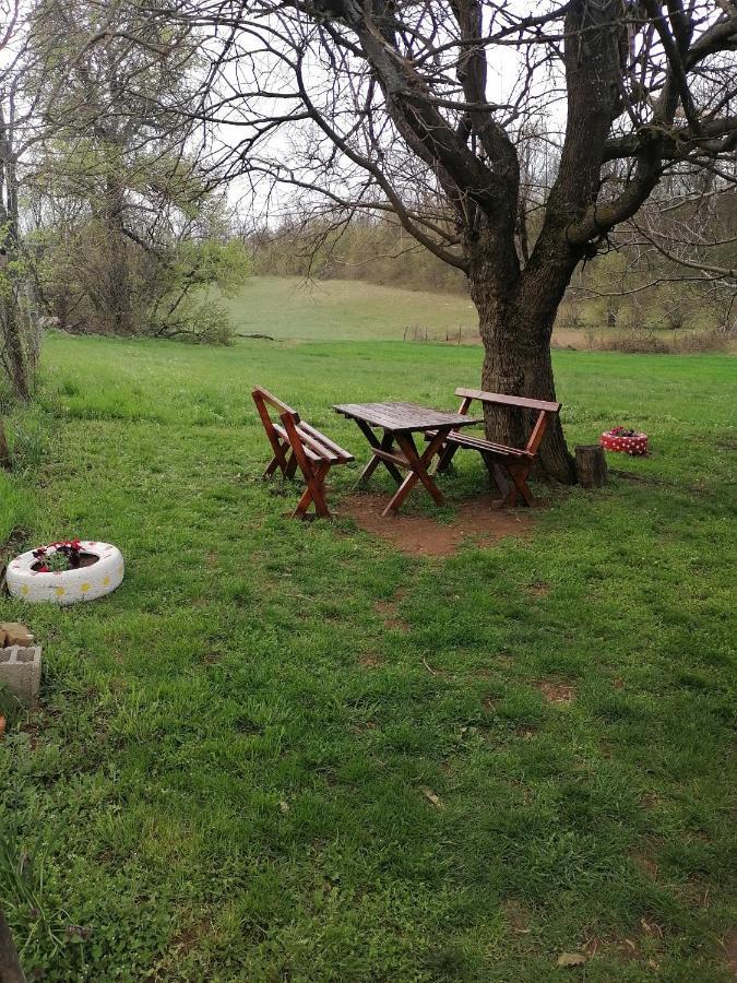 Etno Kuca Badejevic Villa Plavna Luaran gambar