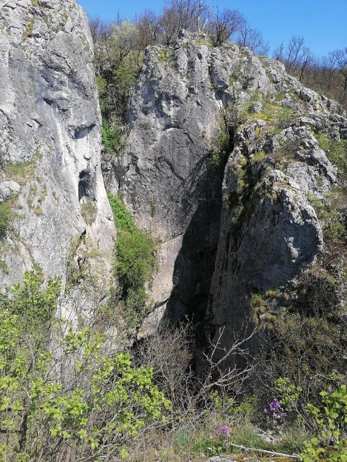 Etno Kuca Badejevic Villa Plavna Luaran gambar