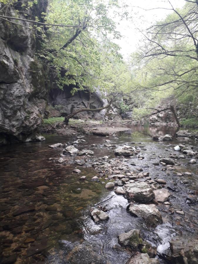 Etno Kuca Badejevic Villa Plavna Luaran gambar