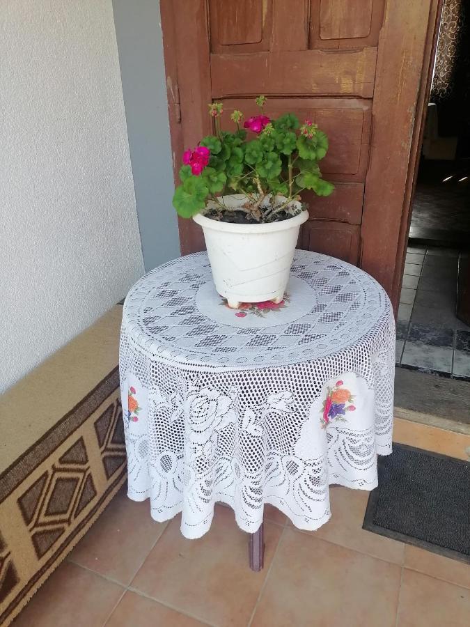 Etno Kuca Badejevic Villa Plavna Luaran gambar