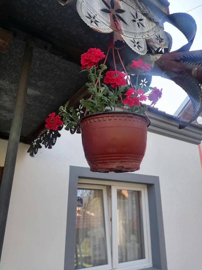 Etno Kuca Badejevic Villa Plavna Luaran gambar